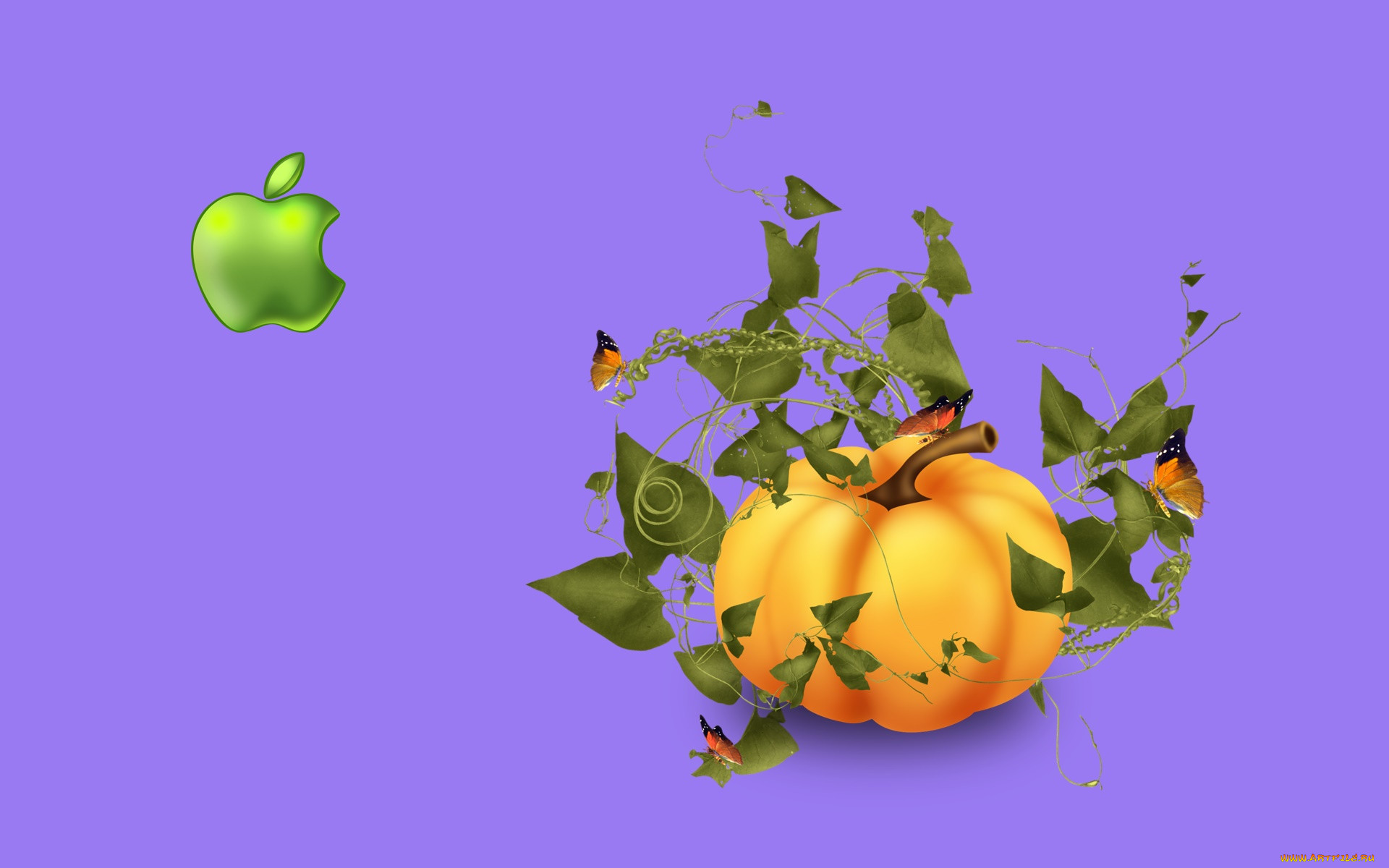 , apple, , 